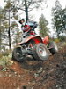 quads alquiler de quads en asturias, quads asturias,paseos ,en asturias
quad,alquiler de quad,asturias,quad asturias paseos por asturias